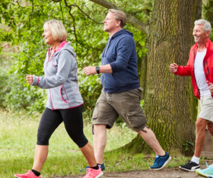 A group walking through a park