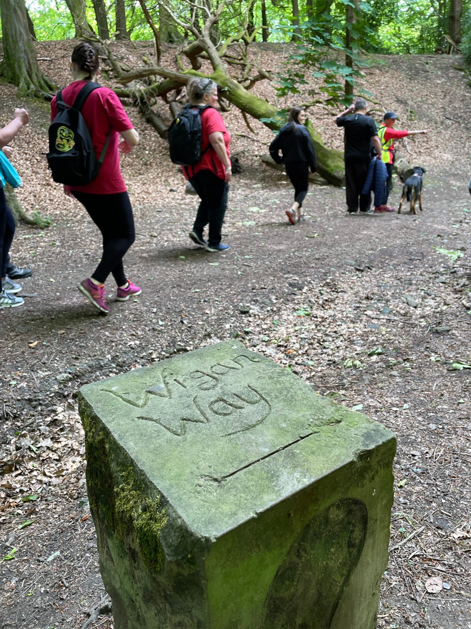 A group of walkers pass a Wigan Way waymarker