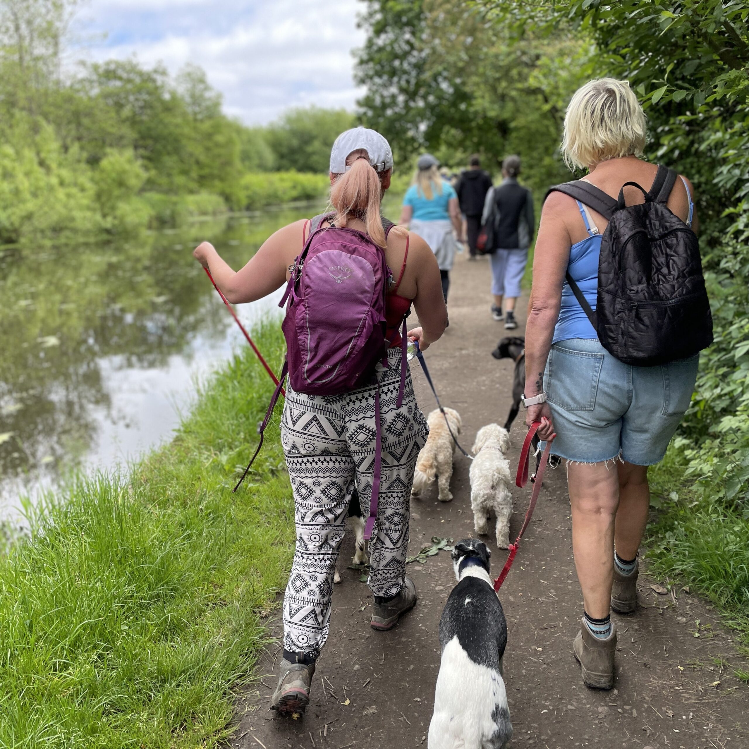 A group of walkers on the canal